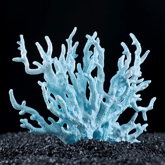 Коралл пластиковый малый 17 х 6 х 13 см, голубой от компании Интернет-гипермаркет «MOLL» - фото 1