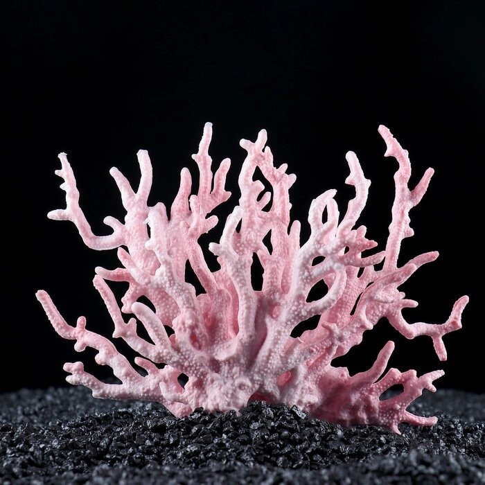 Коралл пластиковый малый 17 х 6 х 13 см, розовый от компании Интернет-гипермаркет «MOLL» - фото 1