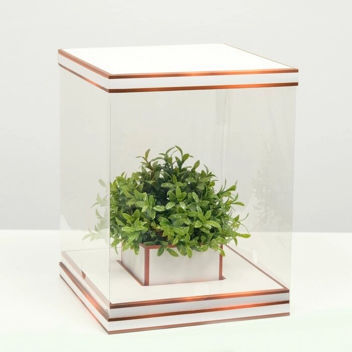 Коробка для цветов с вазой и PVC окнами складная, бронза,  23 х 30 х 23 см от компании Интернет-гипермаркет «MOLL» - фото 1