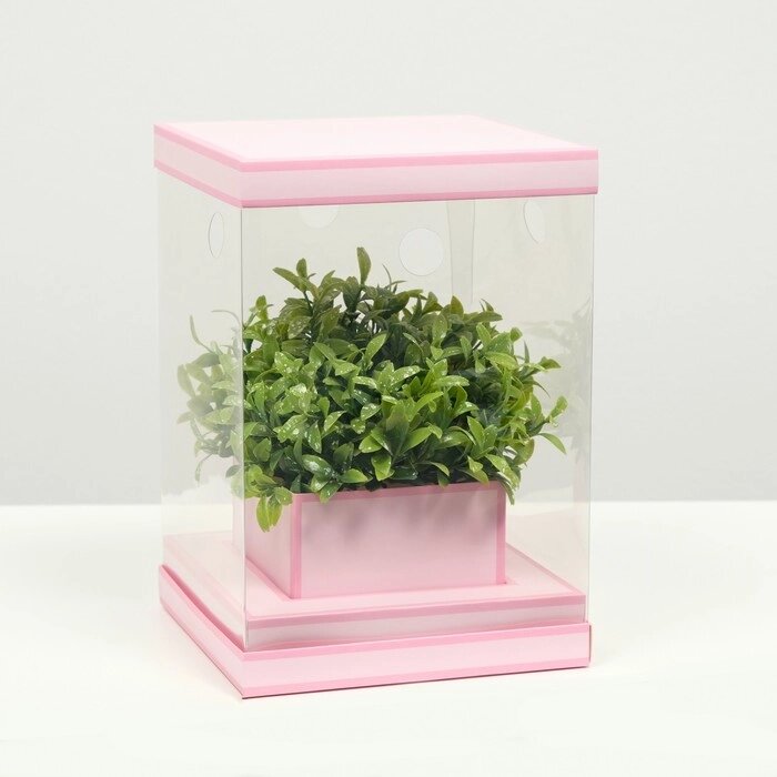 Коробка для цветов с вазой и PVC окнами складная, розовый, 16 х 23 х 16 см от компании Интернет-гипермаркет «MOLL» - фото 1