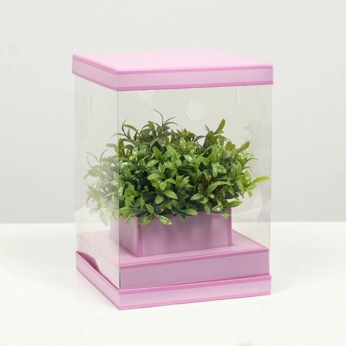 Коробка для цветов с вазой и PVC окнами складная, сиреневый, 16 х 23 х 16 см от компании Интернет-гипермаркет «MOLL» - фото 1