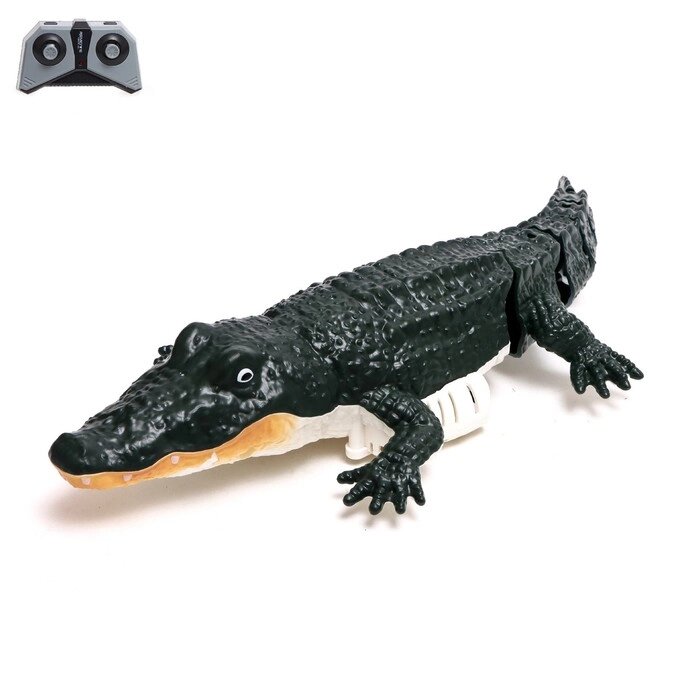 Крокодил радиоуправляемый, плавает, работает от батареек, цвет зеленый от компании Интернет-гипермаркет «MOLL» - фото 1