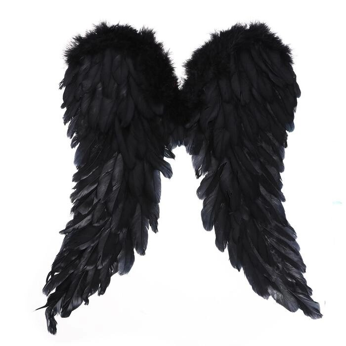 Крылья "Ангел" 50*50, цвет чёрный от компании Интернет-гипермаркет «MOLL» - фото 1