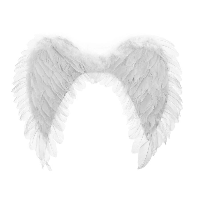 Крылья ангела, 4863, цвет белый от компании Интернет-гипермаркет «MOLL» - фото 1