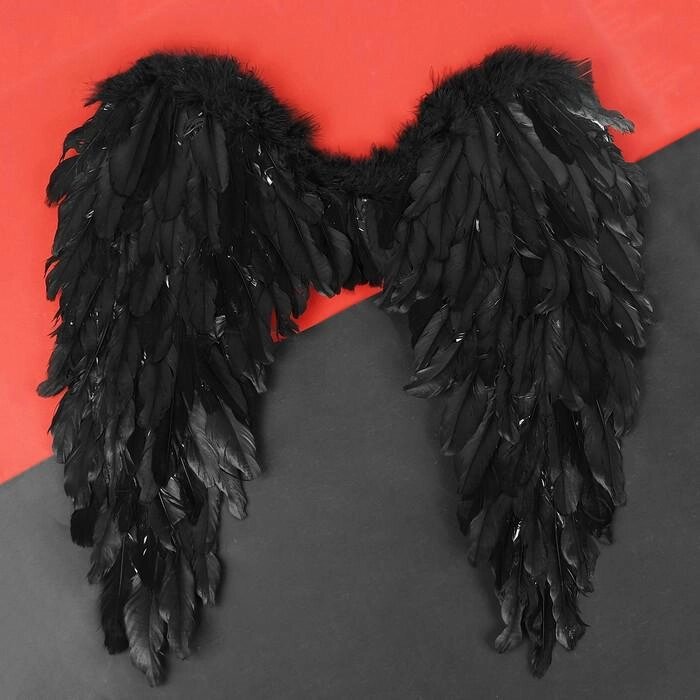 Крылья ангела, 60х57 см, цвет чёрный от компании Интернет-гипермаркет «MOLL» - фото 1