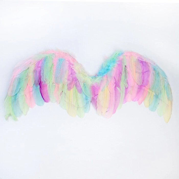Крылья ангела 7755 см от компании Интернет-гипермаркет «MOLL» - фото 1