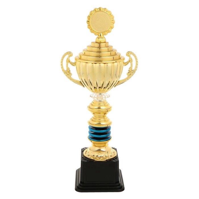 Кубок спортивный 176 C цвет зол, 30  14  8,5 см от компании Интернет-гипермаркет «MOLL» - фото 1