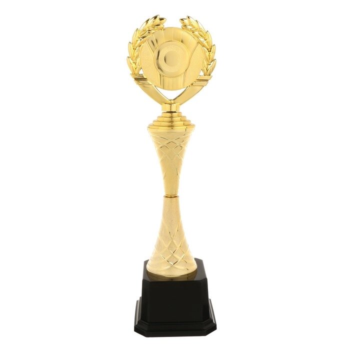 Кубок спортивный 178 A цвет зол, 39  12  8,5 см от компании Интернет-гипермаркет «MOLL» - фото 1