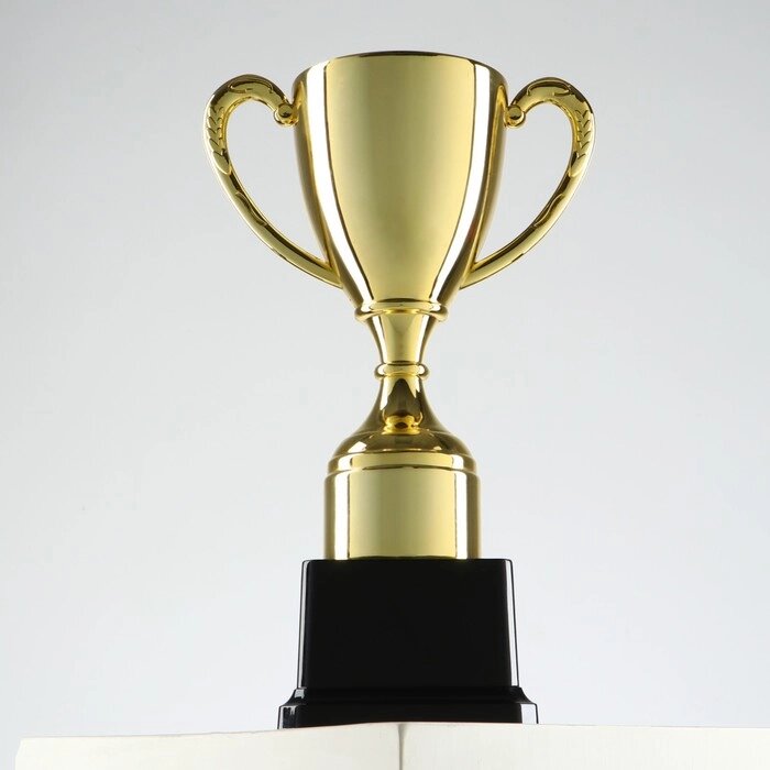 Кубок спортивный, золото, 24  14,5  8,5 см от компании Интернет-гипермаркет «MOLL» - фото 1