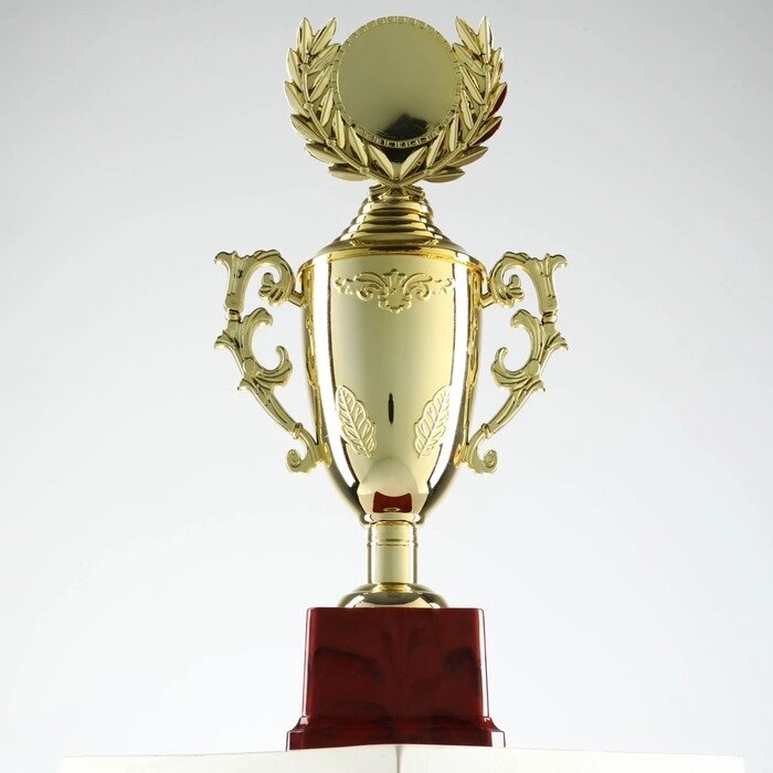 Кубок спортивный, золото, 34 х 17 х 8 см от компании Интернет-гипермаркет «MOLL» - фото 1