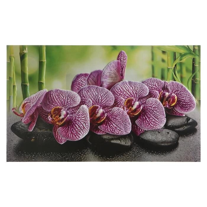 Кухонный фартук "Орхидея ванда", 1000x600x0,5 от компании Интернет-гипермаркет «MOLL» - фото 1