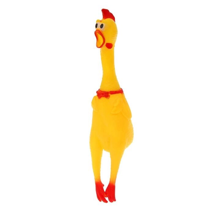 Курица, кричит, в сетке от компании Интернет-гипермаркет «MOLL» - фото 1