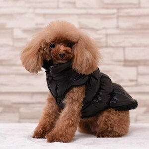 Куртка для собак "Блеск", S (ДС 25, ОГ 37, ОШ 24 см, до 5 кг), чёрная