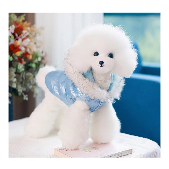 Куртка для собак "Легкость",  размер L (ДС 34, ОГ 47, ОШ 34 см, до 11 кг), голубая от компании Интернет-гипермаркет «MOLL» - фото 1