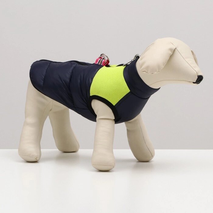 Куртка для собак на молнии, размер 10 (ДС 25 см, ОГ 34 см, ОШ 24 см), синяя с жёлтым от компании Интернет-гипермаркет «MOLL» - фото 1