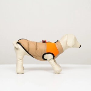 Куртка для собак на молнии, размер 12 (ДС 28 см, ОГ 38 см, ОШ 27 см), бежевая с оранжевым