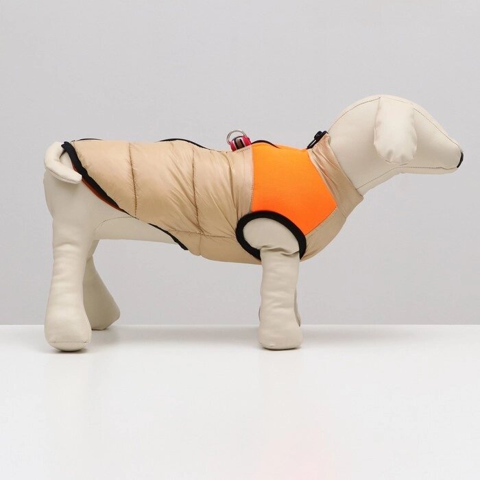Куртка для собак на молнии, размер 14 (ДС 32 см, ОГ 42 см, ОШ 31 см), бежевая с оранжевым от компании Интернет-гипермаркет «MOLL» - фото 1