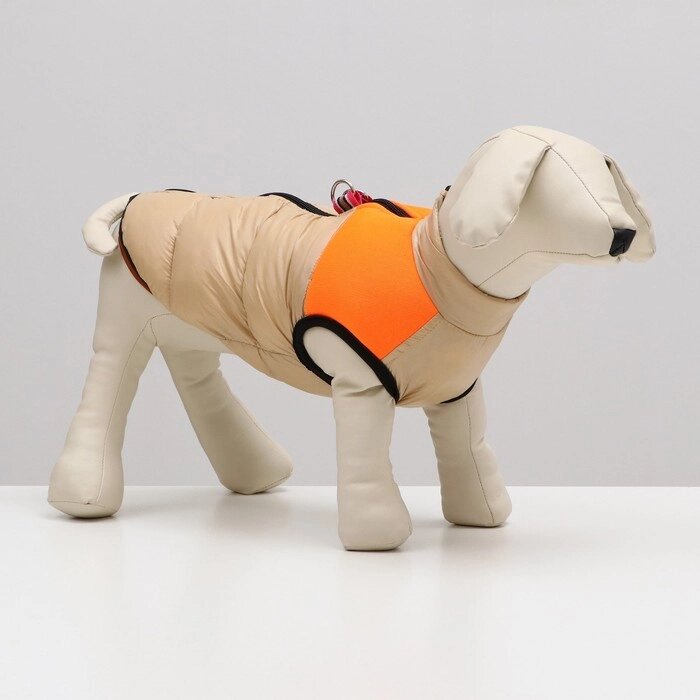 Куртка для собак на молнии, размер 18 (ДС 40 см, ОГ 50 см, ОШ 38 см), бежевая с оранжевым от компании Интернет-гипермаркет «MOLL» - фото 1