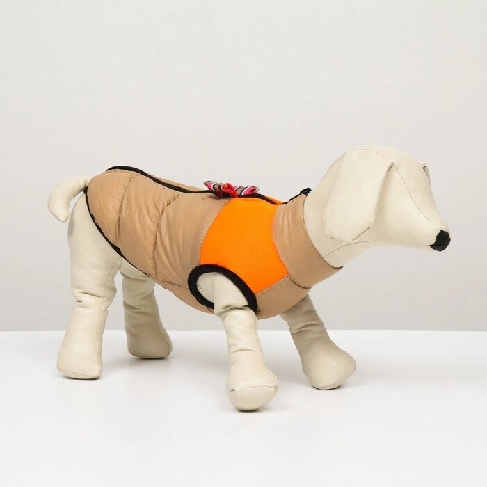 Куртка для собак на молнии, размер 8 (ДС 23 см, ОГ 30, ОГ 22 см), бежевая с оранжевым от компании Интернет-гипермаркет «MOLL» - фото 1