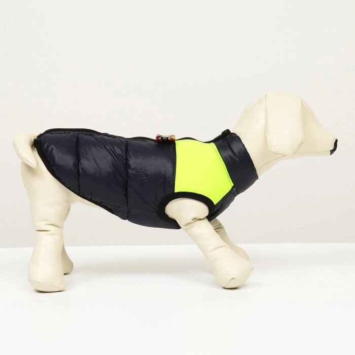 Куртка для собак на молнии, размер 8 (ДС 23 см, ОГ 30, ОГ 22 см), синяя с жёлтым от компании Интернет-гипермаркет «MOLL» - фото 1