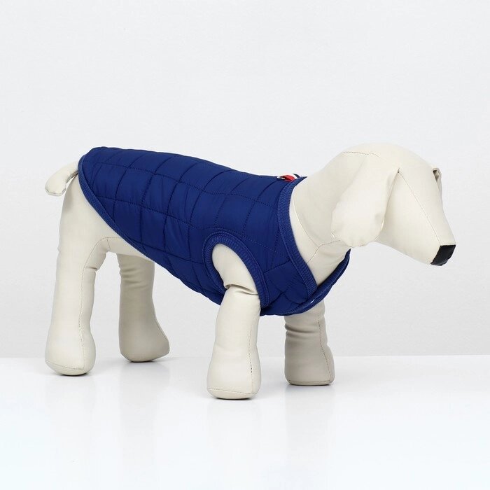 Куртка для собак "Nice", размер  XL (ДС 38 см, ОШ 38 см, ОГ 48 см), синяя от компании Интернет-гипермаркет «MOLL» - фото 1