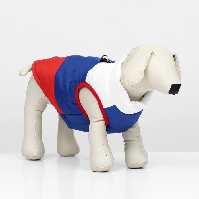 Куртка для собак "Патриот", размер M (ДС 28, ОГ 47 см) от компании Интернет-гипермаркет «MOLL» - фото 1