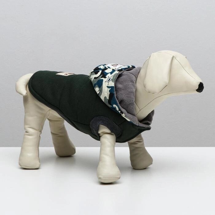 Куртка для собак, S (ДС 20 см, ОШ 23 см, ОГ 32 см), тёмно-зелёная от компании Интернет-гипермаркет «MOLL» - фото 1