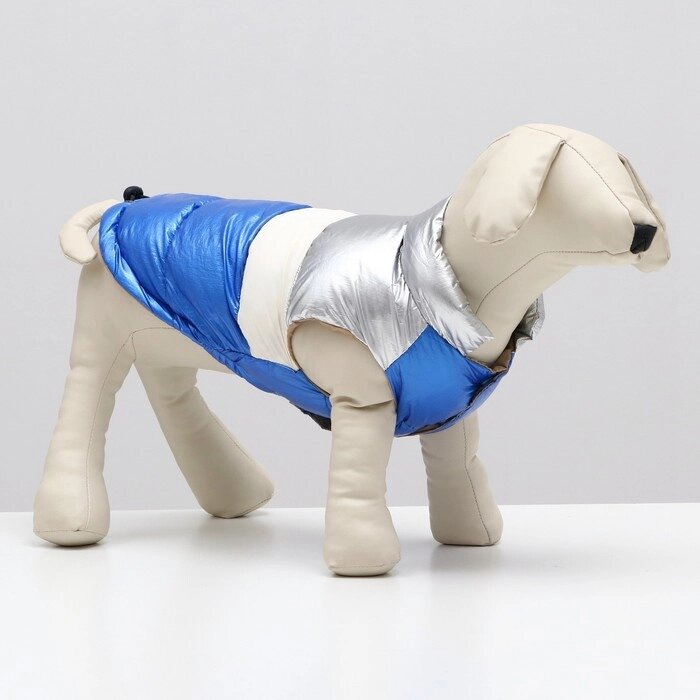 Куртка для собак с утяжкой размер 10 (ДС 25, ОГ 34, ОШ 24), серебряно-синяя от компании Интернет-гипермаркет «MOLL» - фото 1
