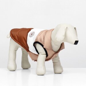 Куртка для собак "Шоколад", размер S (ДС 26, ОГ 38, ОШ 27), бежево-коричневая