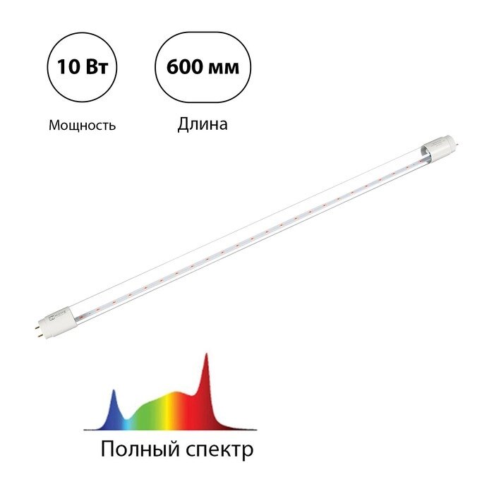 Лампа светодиодная 10 Вт, Т8 600мм, цоколь G13, полный спектр IN HOME от компании Интернет-гипермаркет «MOLL» - фото 1