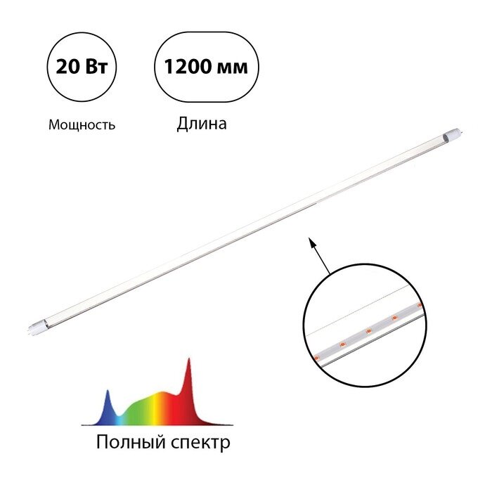 Лампа светодиодная 20 Вт, Т8 1200мм, цоколь G13, полный спектр IN HOME от компании Интернет-гипермаркет «MOLL» - фото 1