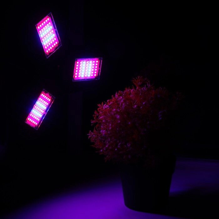 Лампа светодиодная для растений, 26 Вт, Е27, 126 Led, красный + синий от компании Интернет-гипермаркет «MOLL» - фото 1