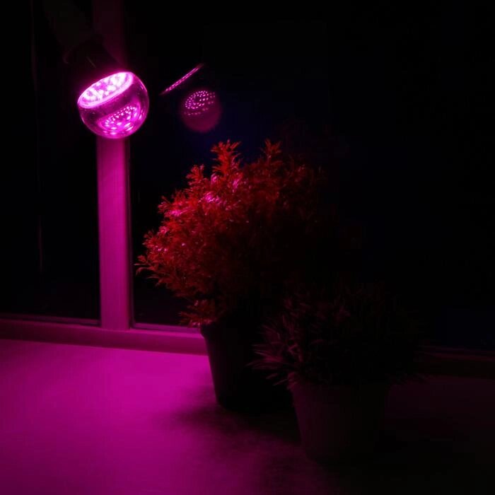 Лампа светодиодная для растений Uniel, А60, Е27, 8 Вт, спектр для рассады и цветения от компании Интернет-гипермаркет «MOLL» - фото 1