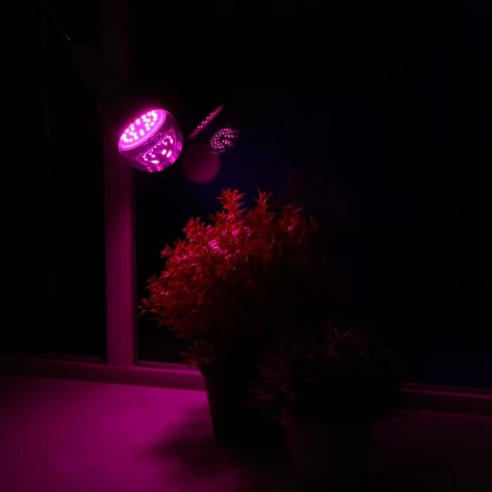 Лампа светодиодная для растений Uniel, Е27, А60, 9 Вт, 110 мм, прозрачная от компании Интернет-гипермаркет «MOLL» - фото 1