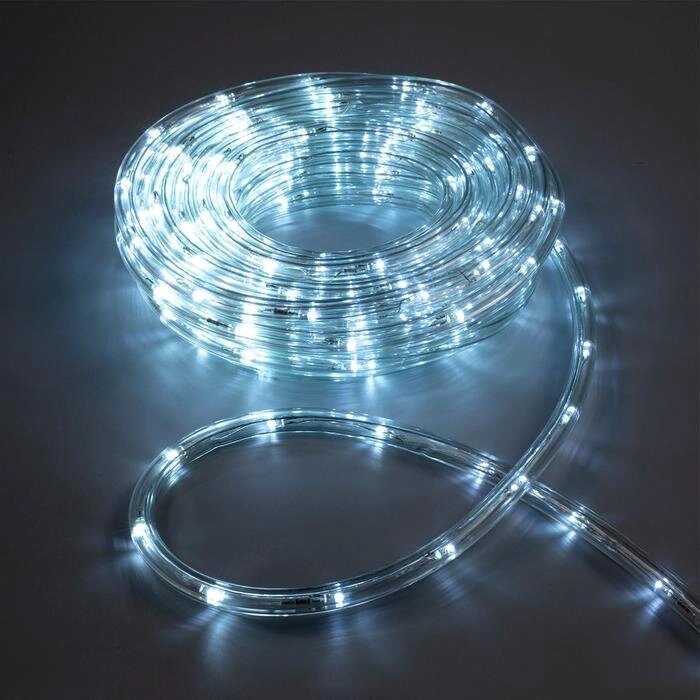 LED шнур 10 мм, круглый, 10 м, чейзинг, 2W-LED/м-24-220V, с контр. 8р, БЕЛЫЙ от компании Интернет-гипермаркет «MOLL» - фото 1