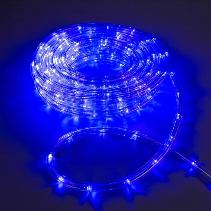 LED шнур 10 мм, круглый, 10 м, чейзинг, 2W-LED/м-24-220V, с контр. 8р, СИНИЙ от компании Интернет-гипермаркет «MOLL» - фото 1