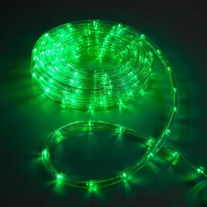 LED шнур 10 мм, круглый, 10 м, чейзинг, 2W-LED/м-24-220V, с контр. 8р, ЗЕЛЕНЫЙ от компании Интернет-гипермаркет «MOLL» - фото 1