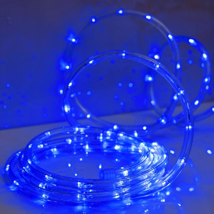 LED шнур 10 мм, круглый, 5 м, чейзинг, 2W-LED/м-24-220V, с контр. 8р, СИНИЙ от компании Интернет-гипермаркет «MOLL» - фото 1