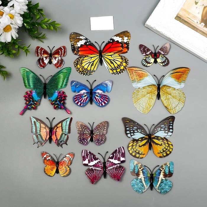 Магнит пластик "Бабочки двойные крылья фосфорные" набор 12 шт от компании Интернет-гипермаркет «MOLL» - фото 1
