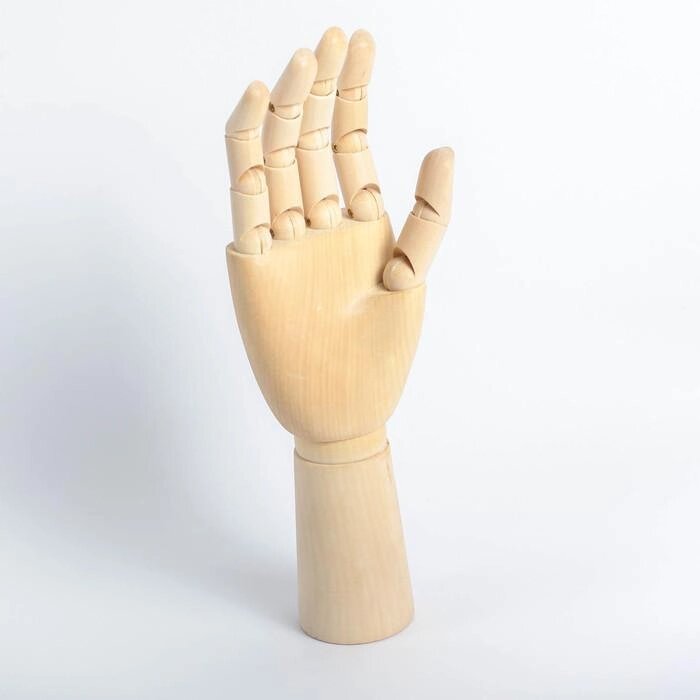 Модель деревянная художественная Манекен "Рука мужская правая" 31 см от компании Интернет-гипермаркет «MOLL» - фото 1