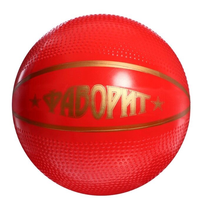 Мяч диаметр 200 мм "Фаворит" Р2-200/Фа от компании Интернет-гипермаркет «MOLL» - фото 1