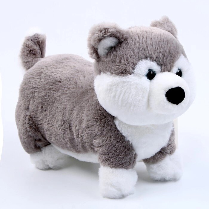 Мягкая игрушка "Хаски", размер 28 см, цвет серый от компании Интернет-гипермаркет «MOLL» - фото 1