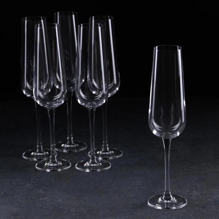 Набор бокалов для шампанского Corvus,160 мл, 6 шт от компании Интернет-гипермаркет «MOLL» - фото 1
