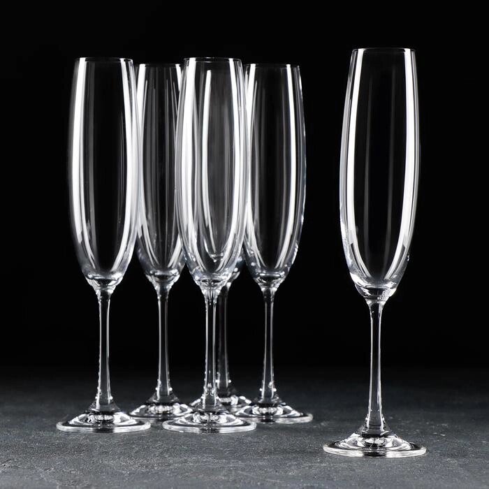 Набор бокалов для шампанского Milvus, 250 мл, 6 шт от компании Интернет-гипермаркет «MOLL» - фото 1