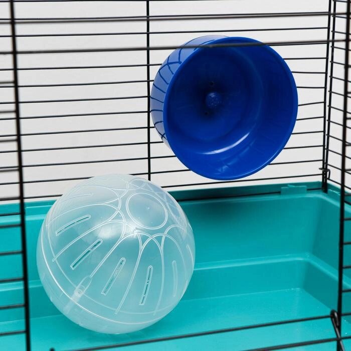Набор для грызунов, шар прозрачный 14 см + колесо синее 13.5 см от компании Интернет-гипермаркет «MOLL» - фото 1