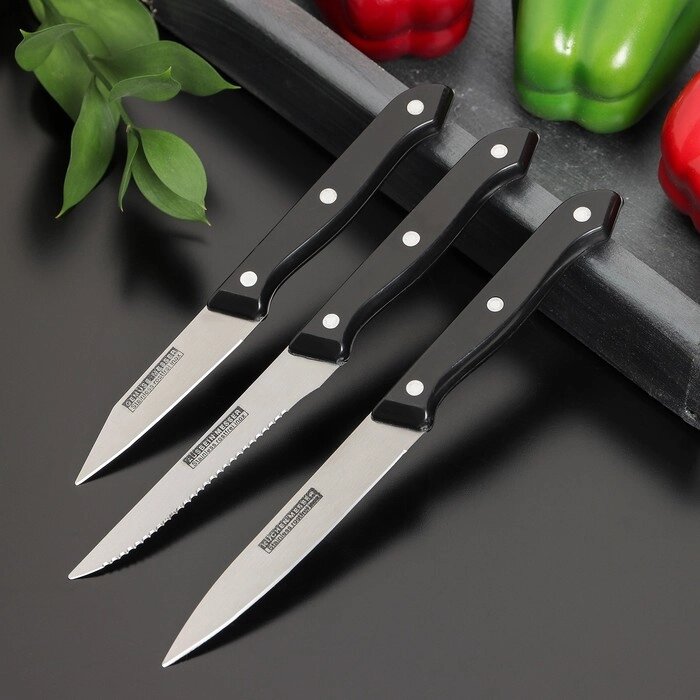 Набор кухонных ножей "Кулинарные изыски", 3 предмета, цвет МИКС от компании Интернет-гипермаркет «MOLL» - фото 1