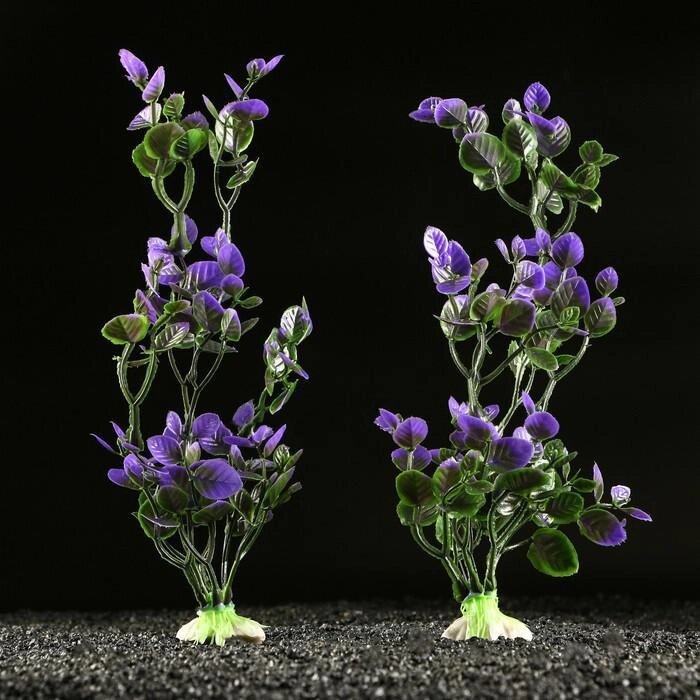 Набор растений искусственных для аквариума (2 шт), 25 см, фиолетовый от компании Интернет-гипермаркет «MOLL» - фото 1
