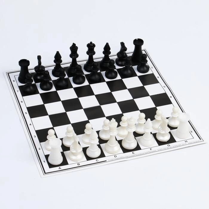 Набор шахматы и шашки, шахм. поле, фигуры пластик, король h=7 см, пешка h=4 см, d шашки=2.9 см от компании Интернет-гипермаркет «MOLL» - фото 1