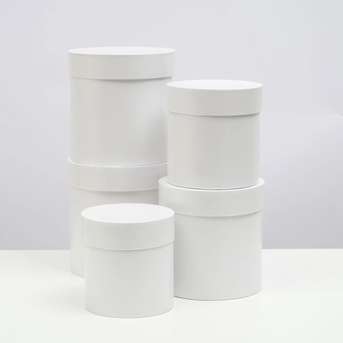 Набор шляпных коробок  5 в 1 "Белизна",20  20  20‒13,5  13,5  13,5 см от компании Интернет-гипермаркет «MOLL» - фото 1