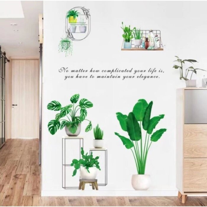 Наклейка пластик интерьерная цветная "Комнатные растения" 60х90 см от компании Интернет-гипермаркет «MOLL» - фото 1